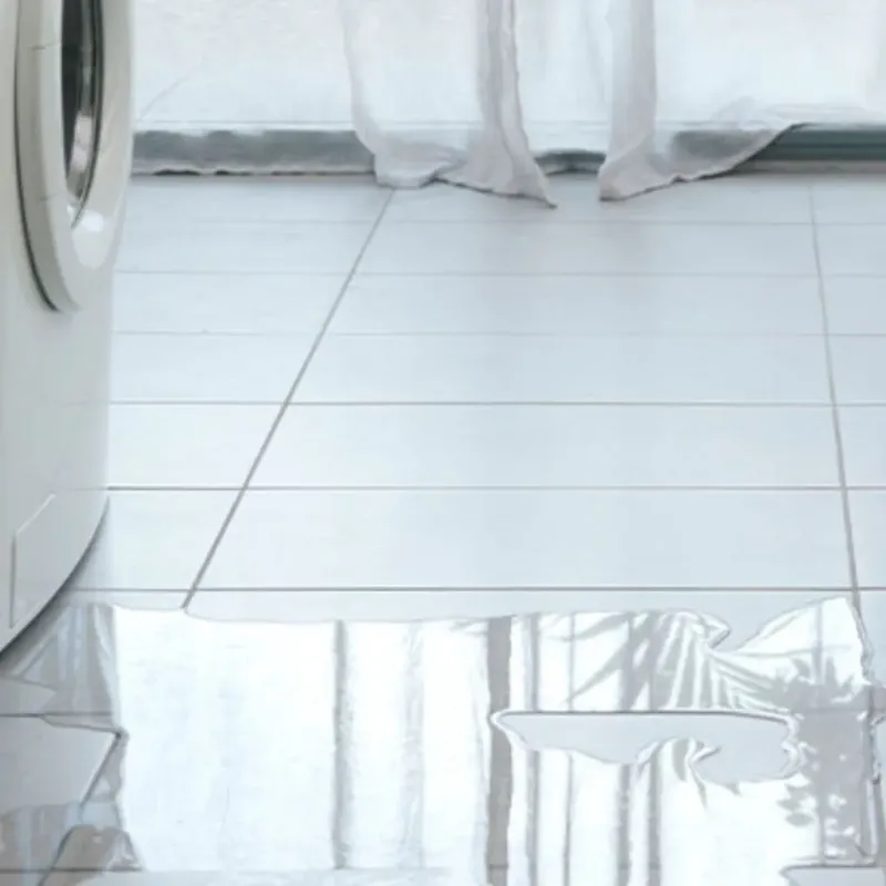 Appliance Leak Cleanup in Collingsworth County, TX