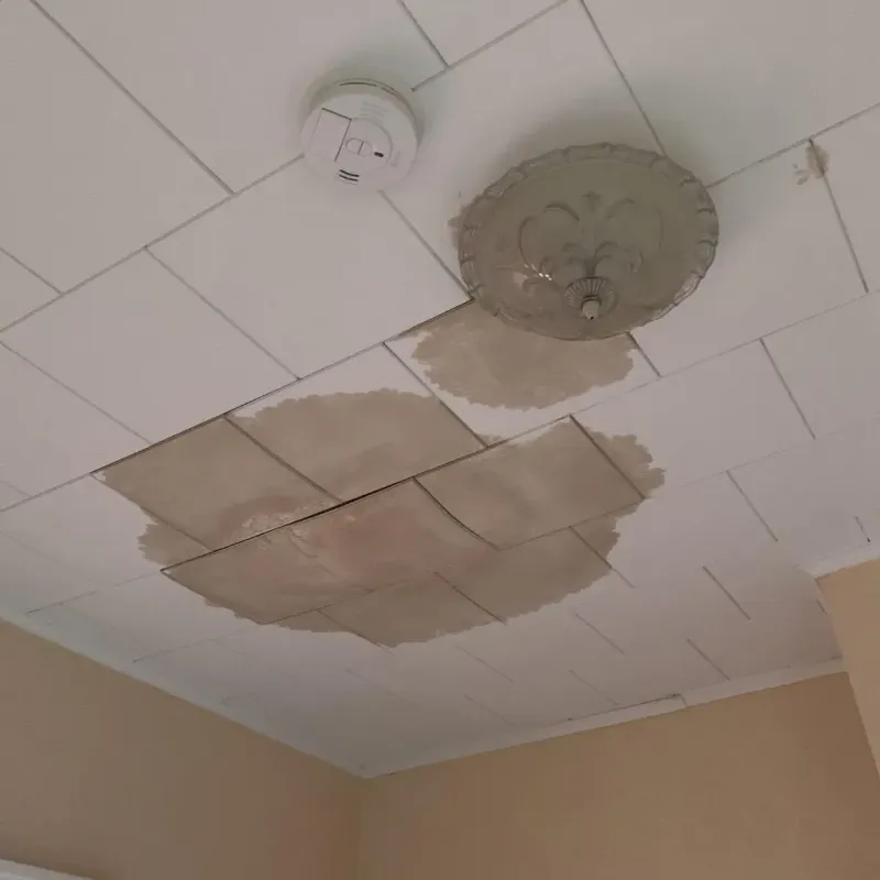 Ceiling Water Damage Repair in Collingsworth County, TX