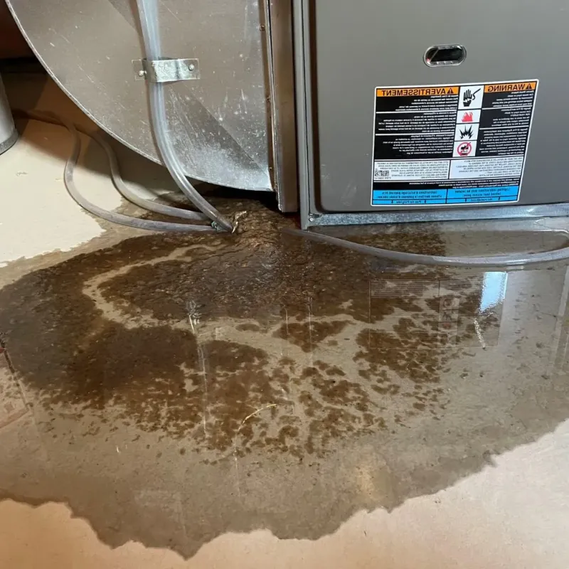 Pipe Burst and Leak Restoration in Collingsworth County, TX