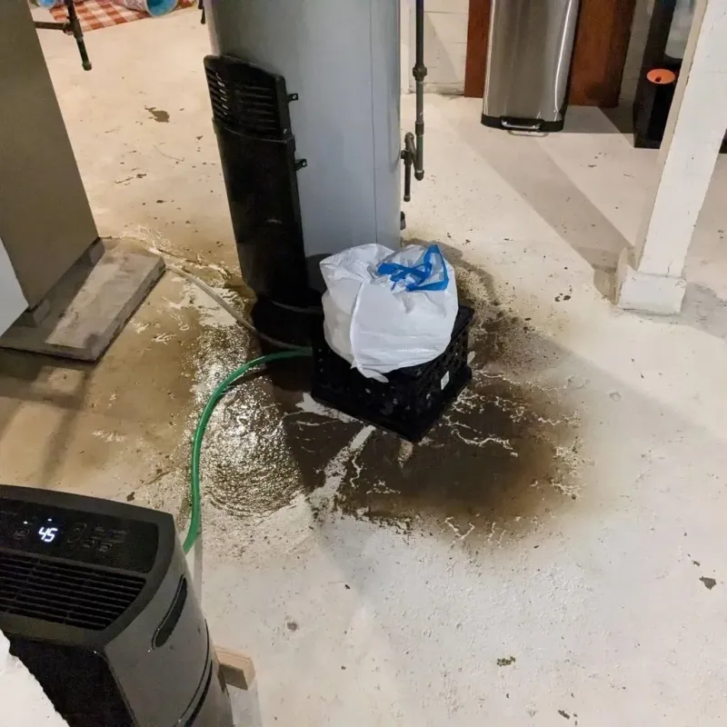 Sewage Backup Cleanup Service in Collingsworth County, TX